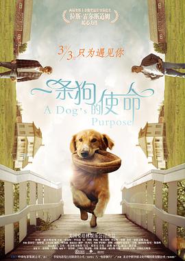 亚洲va在线va天堂va888www